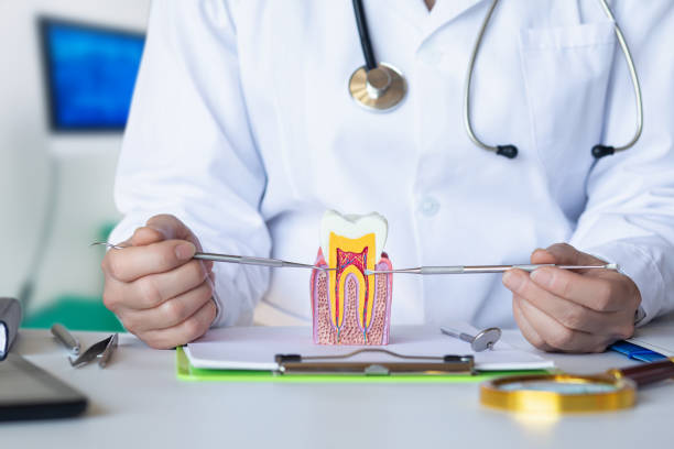 Best Emergency Dental Filling Replacement  in Leipsic, OH